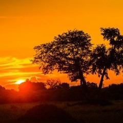 The Okavango Delta