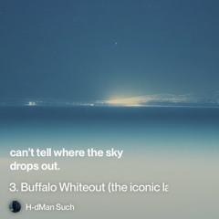 3. Buffalo whiteout (the-iconic-lake-effect-city).