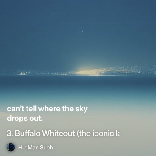 3. Buffalo whiteout (the-iconic-lake-effect-city).