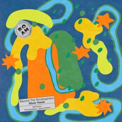 Silver Hawk - Beyond The Struttosphere w/remixes from Phunkadelica and  Jason Peters