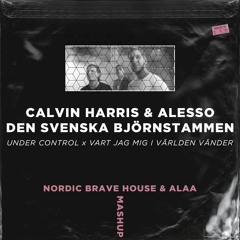 Vart Jag Mig I Världen Vänder x Under Control (Nordic Brave House & Alaa Mashup) [DL FOR EXTENDED]