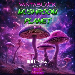 vantablack - Psilocybin Quasar (3D Binaural)