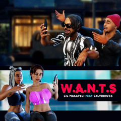 W.A.N.T.S
