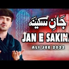 Jan-e-Sakina-Ali-Jee-Noha-2022