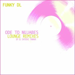 Funky DL - Day by Day (Nujabes Remix)