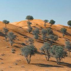 Teleseen - Dekalb [Heist Recordings] [MI4L.com]