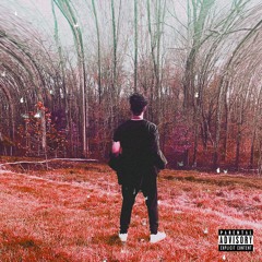 majestic garden interlude (feat. Newk)