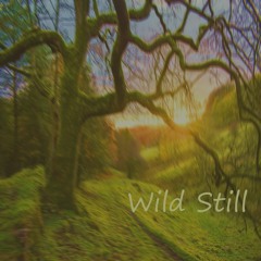 Wild Still STREAMING OPTIMIZED