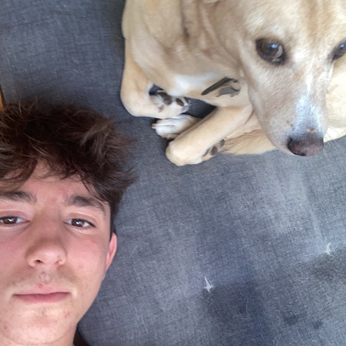 Stream Baby Prod Nino By Fuzz Il Figone Listen Online For Free On