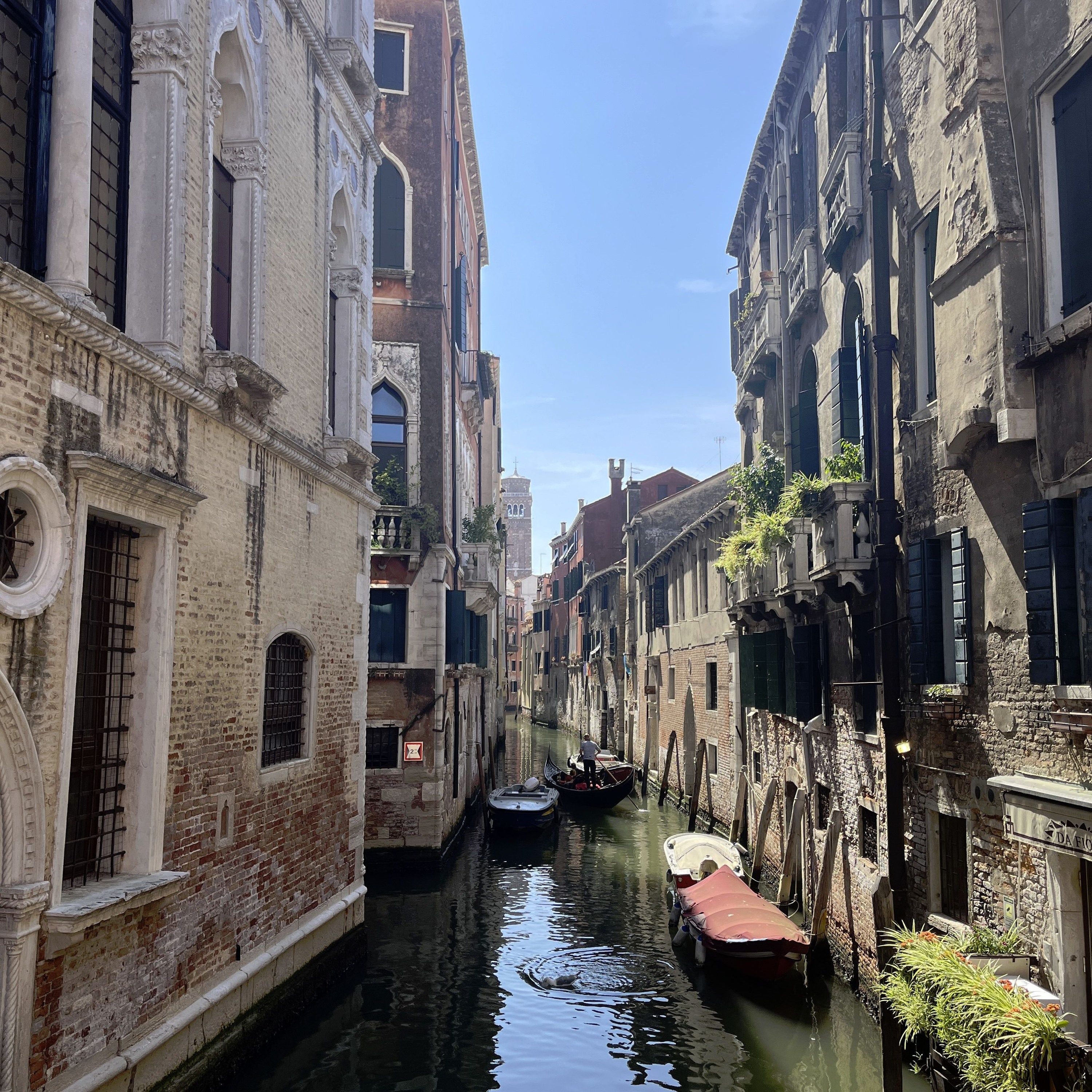 How To Find Less Crowded Places To See In Venice -High Season -Justine Costigan episode artwork