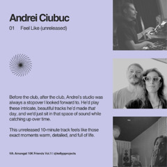 Andrei Ciubuc - Feel Like