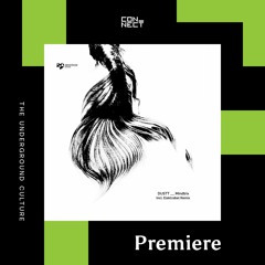 PREMIERE: DUSTT - Stardustt [Devotion Records]