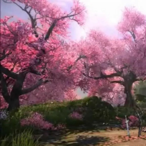 Chronicles of the Hundred Flowers Grave  by 蔡志展、【雲端音社】