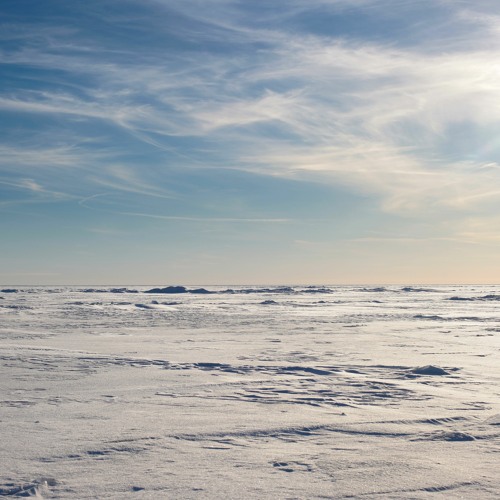 Desert Winter