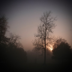 Hessle Audio feat. Pearson Sound - 20 October 2025