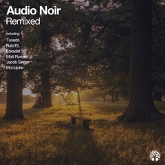 Sortida De Sol (Eskadet Remix for Audio Noir - Electronic Tree Label)