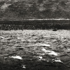 These Earthly Shores