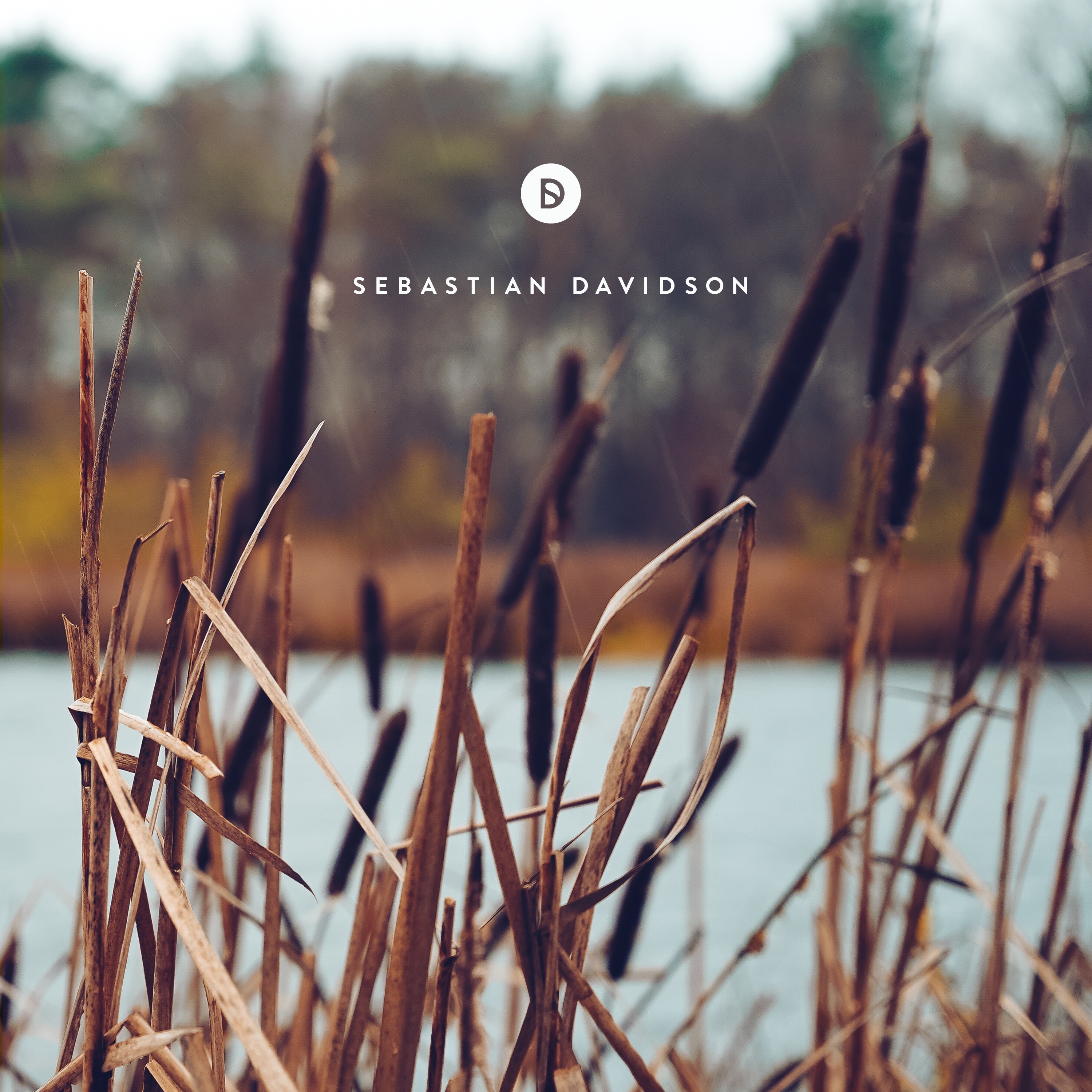Voyage of Discovery by Sebastian Davidson