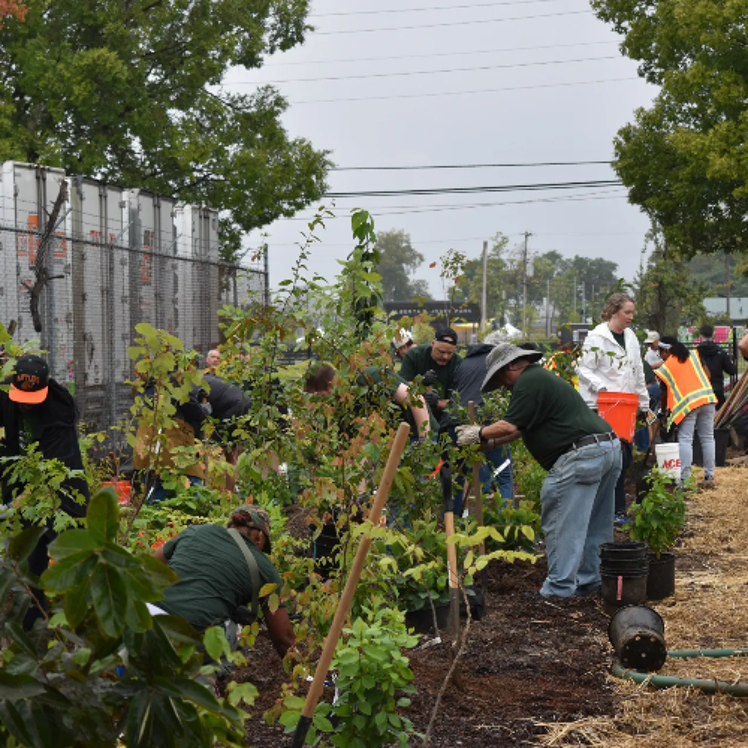 Sustainability Now! | Christine Brinkmann & Colin Meadows | Louisville Grows | Tree Plantings | 11-3-25 Sustainability Now! | Christine Brinkmann & Colin Meadows | Louisville Grows | Tree Plantings | 11-3-25