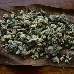 DareDevyL- Pirates Ft. Zone3Mook x Flame