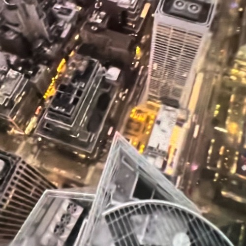 A bird’s last look - skywave (slowed)