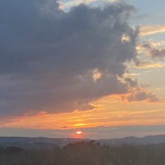 watching him fade away- mac demarco cover