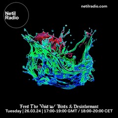 Feed The Void w/ Birds & Desinformant - 26th March 2024