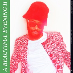 A Beautiful Evening II