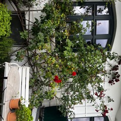 in my room <3 (demo)