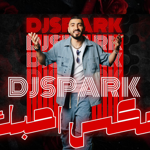مكس احبك -Dj spark  ilove you mix