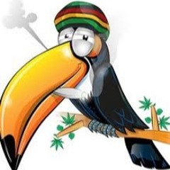 Remix Stlye Wid lil zazu