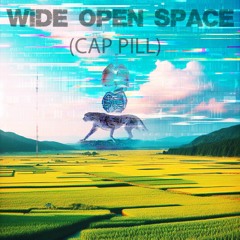 WIDE OPEN SPACE (CAP PILL) #JerseyClub