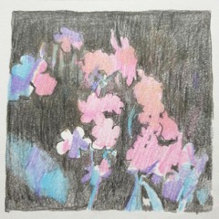 orchid - acoustic demo