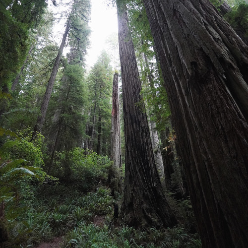 Grounding & Running Energy (Guided Meditation)