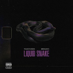 Liquid Snake W/ Brogawd (prod by Don Kevo)