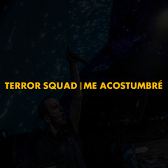Terror Squad | Me Acostumbré (Polygoneer Mashup)