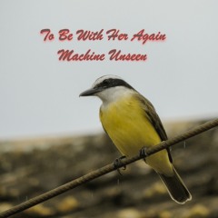 To Be With Her Again - featuring Bill Concello (drums)