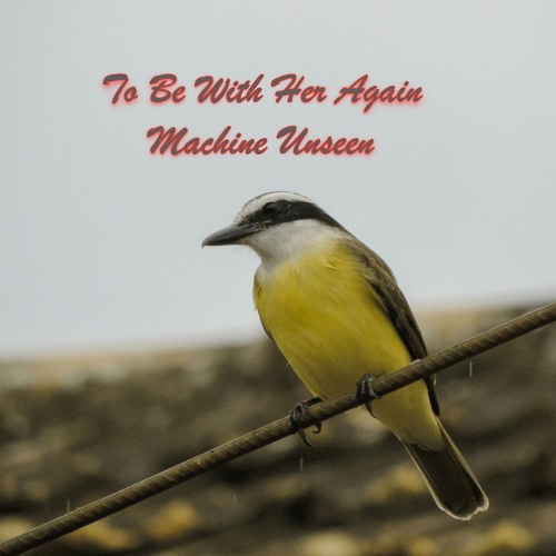 To Be With Her Again - featuring Bill Concello (drums)