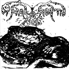 Anal Birth - Infantbutchering