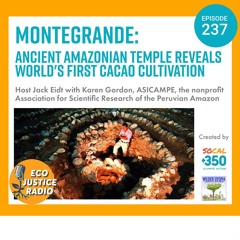 Montegrande: Ancient Amazonian Temple Reveals World's First Cacao Cultivation