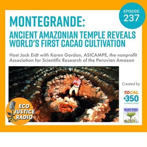 Montegrande: Ancient Amazonian Temple Reveals World's First Cacao Cultivation