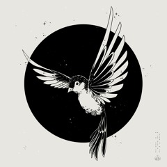 misc.inc - Blossom