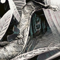 Moments V1 No Master