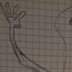 leryhjk