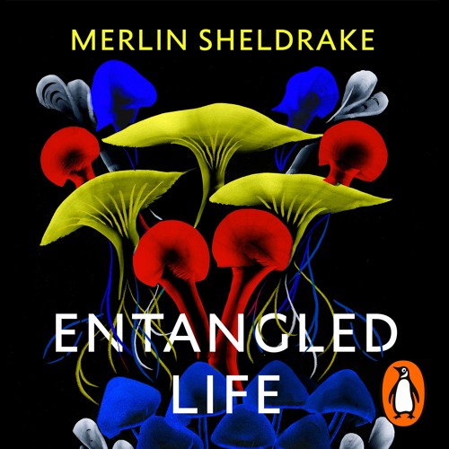 merlin sheldrake entangled life merlin sheldrake entangled life