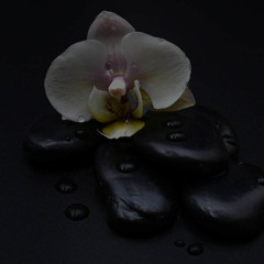 Why Therapeutic Massage Is the Key to Managing Chronic Pain Naturally