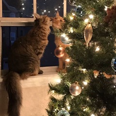 all i want for christmas is you!! ❄️