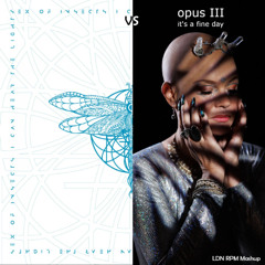 Opus 3 vs Sex of Insects - It's a fine light (LDN RPM Mashup)