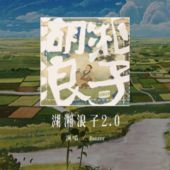Ranzer - 湖湘浪子2.0「喝的是酒 来解忧愁 欲登琼楼 甩甩衣袖」【動態歌詞/Lyrics Video】#Ranzer #湖湘浪子20 #動態歌詞