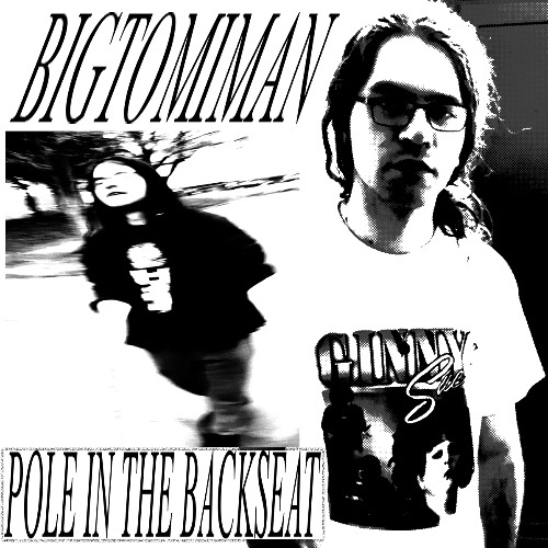 POLE IN THE BACKSEAT (FREE DOWNLOAD)